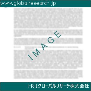 グローバルリサーチ調査資料のイメージ